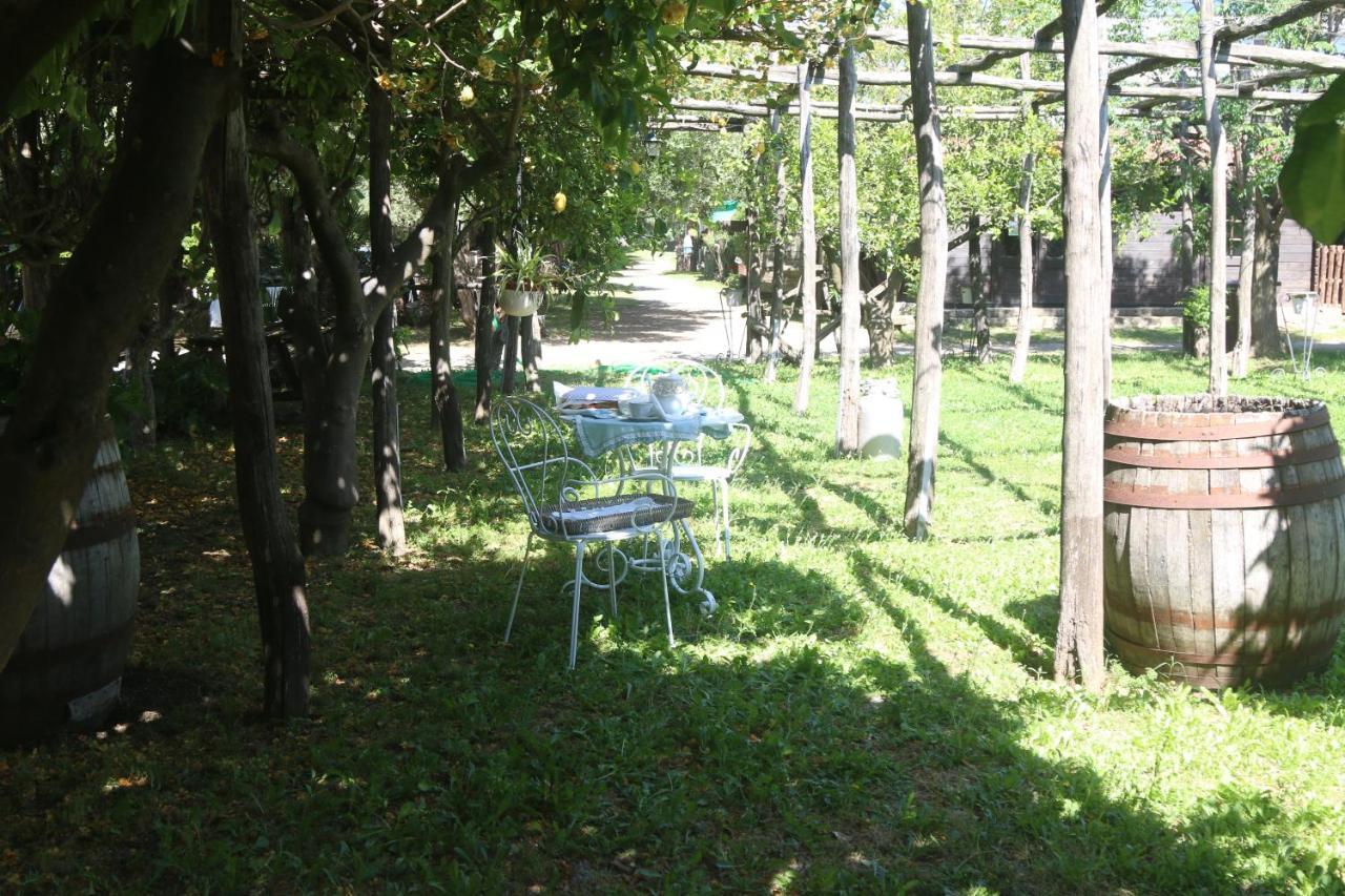 Emy'S Country House Apartamento Castellammare di Stabia Exterior foto